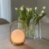Alioth LED oppladbar bordlampe 27cm natur