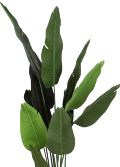 Banantre innendørs 208cm