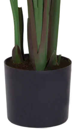 Banantre innendørs 208cm