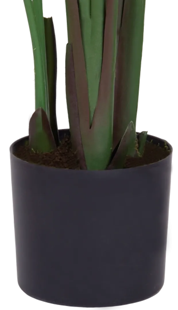 Banantre innendørs 208cm