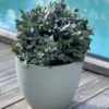 Buksbom kunstig plante 45cm grønn