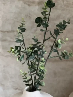 Eucalyptus stilk 66cm grønn
