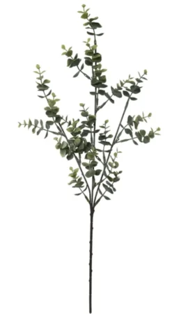 Eucalyptus stilk 66cm grønn