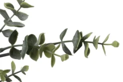 Eucalyptus stilk 66cm grønn