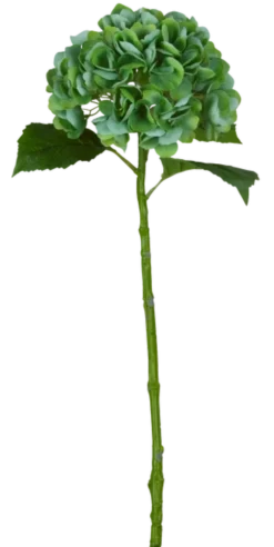 Hortensia 88cm grønn