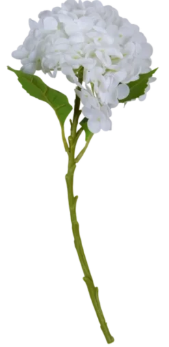 Hortensia 88cm hvit