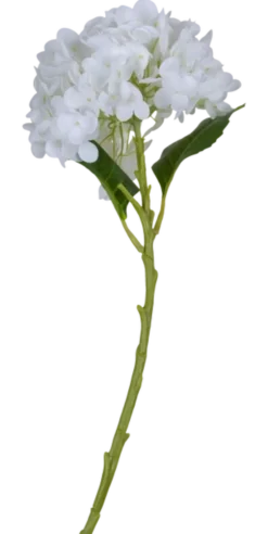Hortensia 88cm hvit