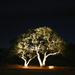 Medusa LED utelampe spot IP67 sort