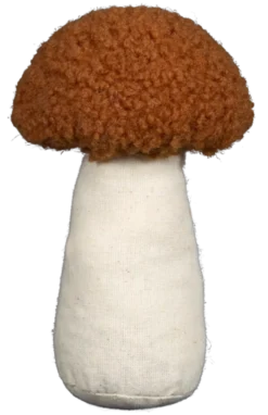 Mycel sopp 3pk. brun