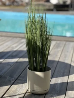 Oleander blomsterpotte 15cm grå