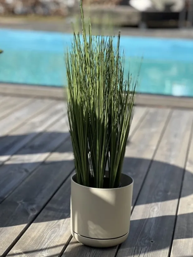 Oleander blomsterpotte 15cm grå