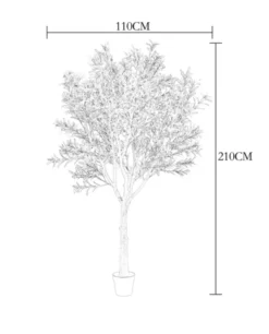 Oliventre innendørs 210cm