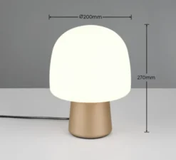 Steen bordlampe 27cm brun